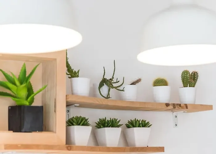 아파트 Inlapa Vi Garden *