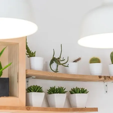 דירה Inlapa Vi Garden *