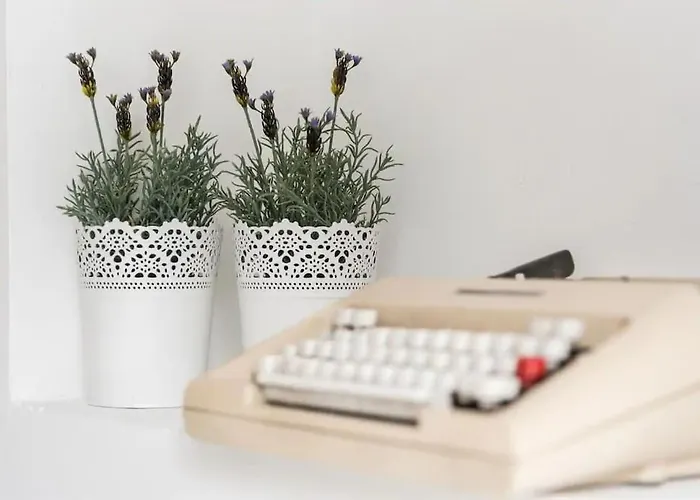 Inlapa Vi Garden Apartamento *